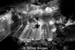 coming back from a great dive at the Taj Mahal Cenotes ne... by Arthur Borges 